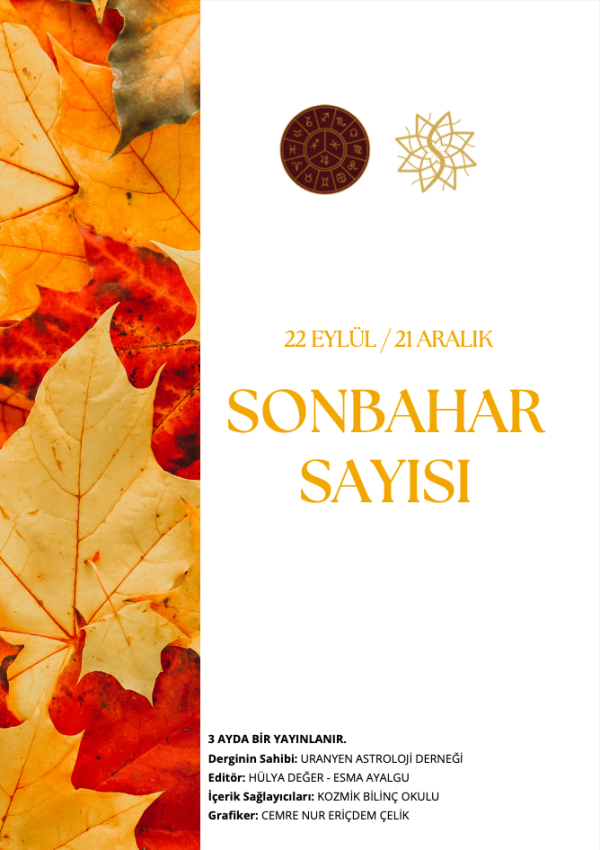Kozmik Dergi – Sayı 6 | Dijital Ürün - Görsel 3